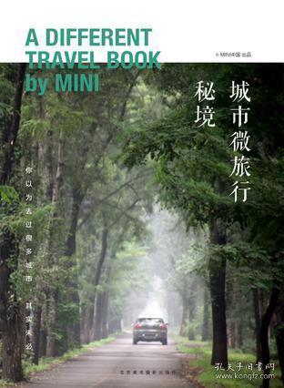 小猫钓鱼游戏龙王版有船